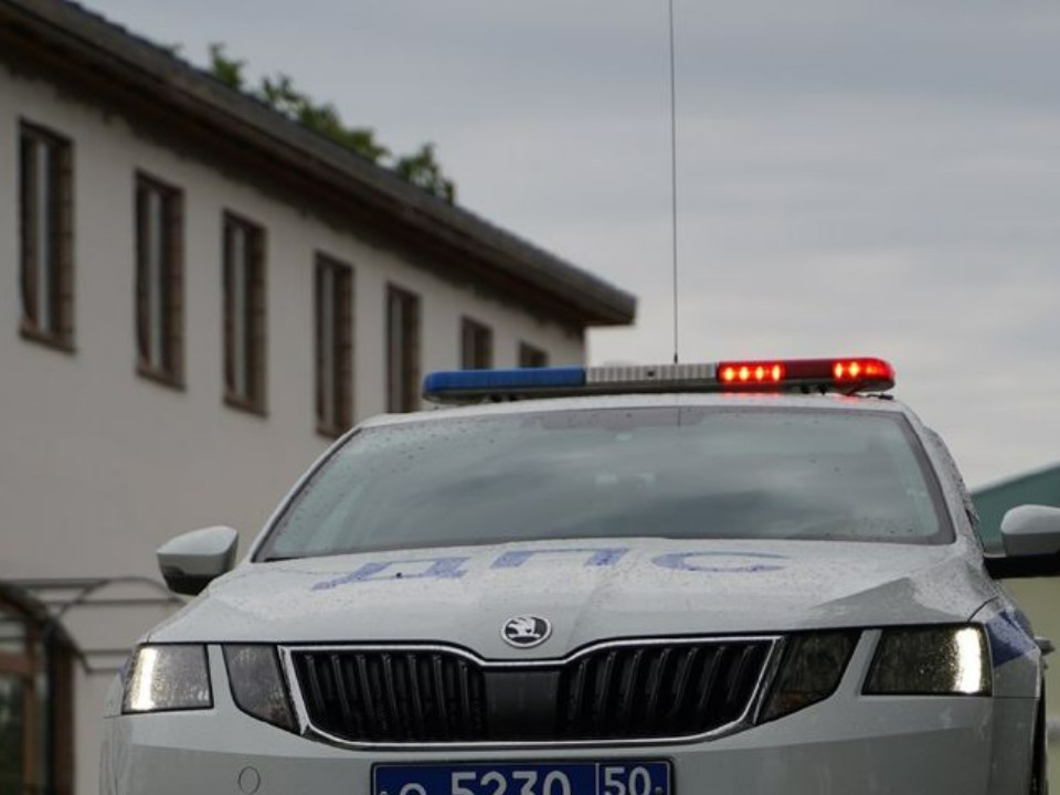 Возвращение конных патрулей: полиция сменила средство передвижения по заснеженным улицам столицы