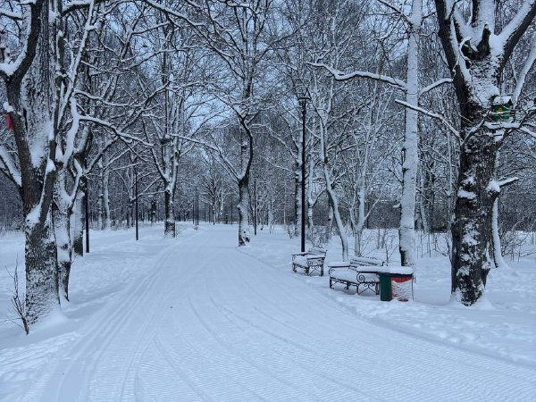 В Калининце открыли каток с прокатом и проложили лыжную трассу