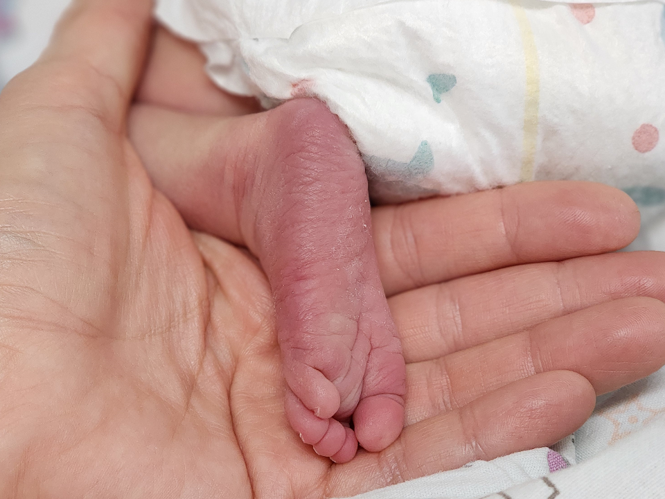 Роддом Подольска отметил Новогодье пятикратным девичьим хором: 2026-й начался с криков радости