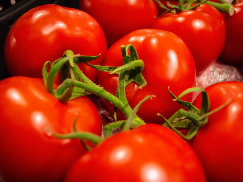 Какие томаты посадить в 2026: ТОП-6 урожайных и вкусных сортов-«работяг» назвала агроном из Люберец