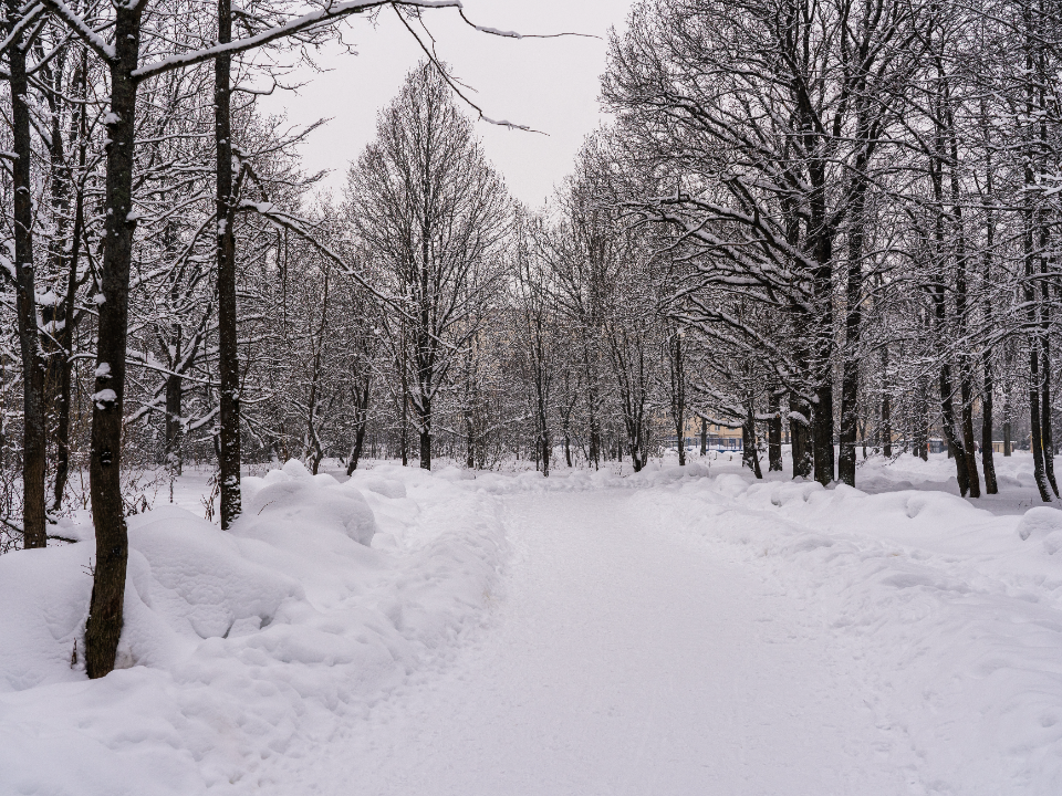 Дмитров стал одним из лидеров по сугробам в Подмосковье