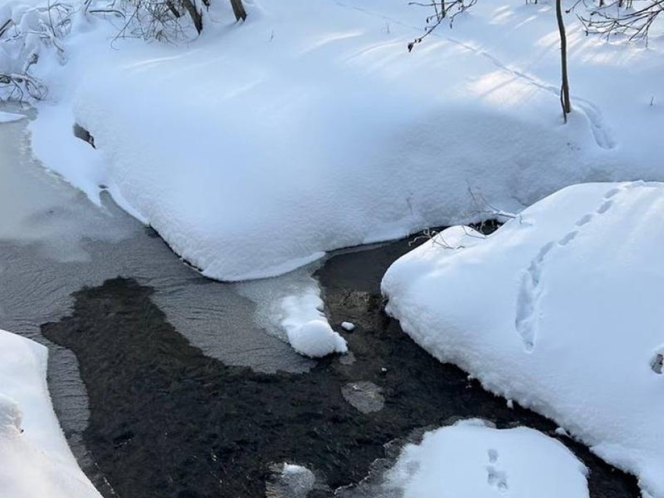 Река Сетунь под ударом: как в Кубинке поймали нелегальный сброс сточных вод