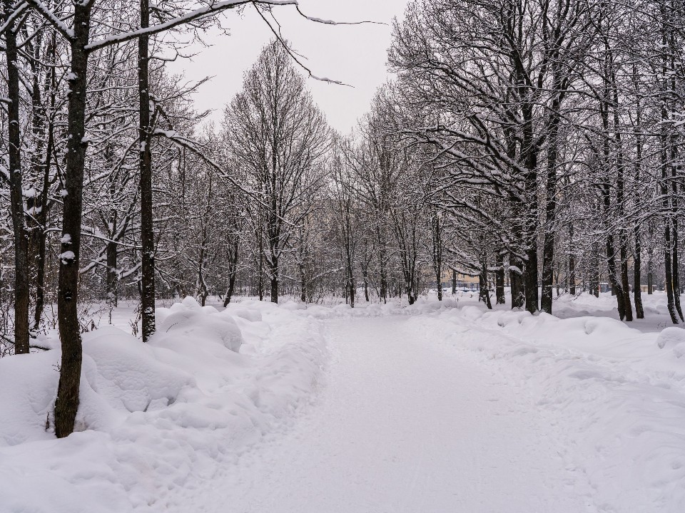 Проделки зимы в Подмосковье: высота сугробов превысила климатическую норму