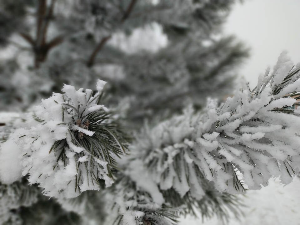 От -3° до -13°: Подмосковье ждут снег, небольшое потепление и возвращение морозов