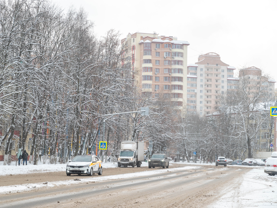 Синоптики рассказали о погоде на новогодние праздники в Московской области