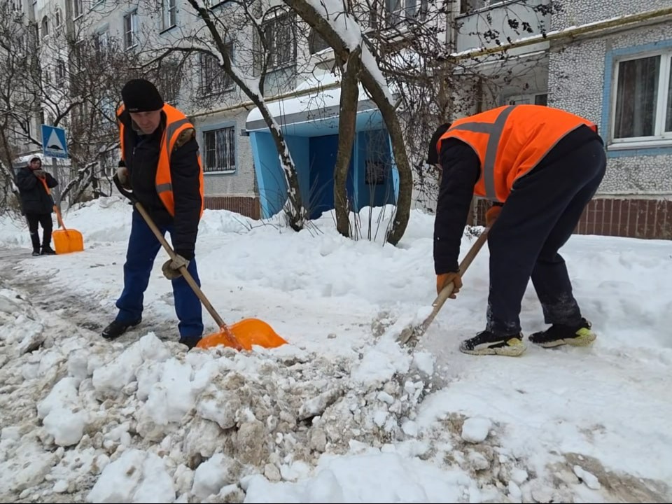 Снежный вызов принят: в Коломне мобилизовали силы для борьбы с последствиями «Фрэнсиса»