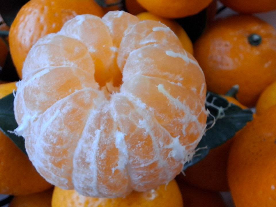 Несъедобный челлендж: чем обернулась попытка проглотить целый мандарин на спор