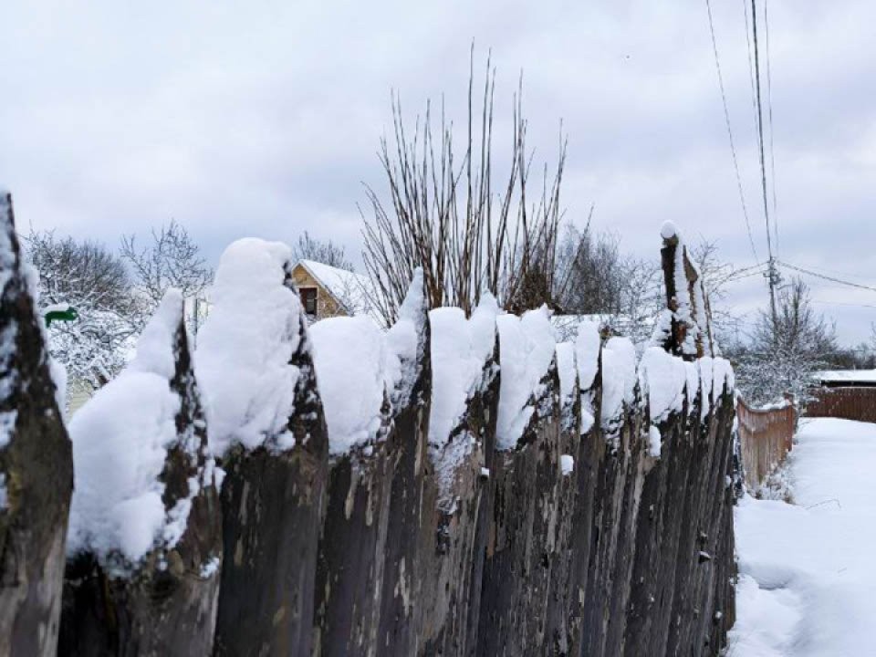Как отремонтировать общий забор на дачном участке не за свой счет? Есть законные способы