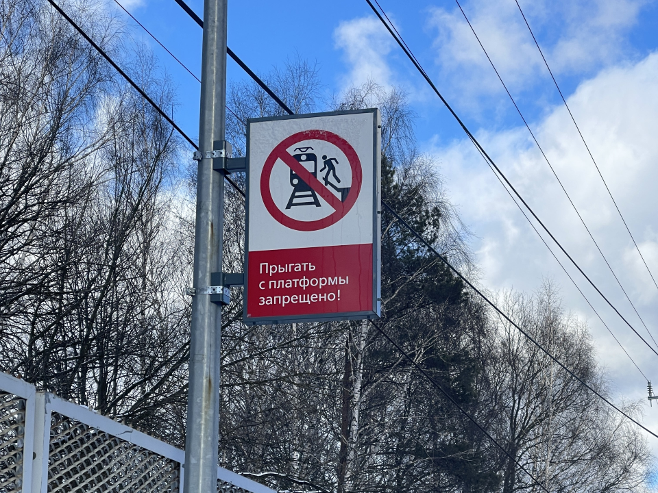 В Луховицах под поезд попал пассажир, он выжил