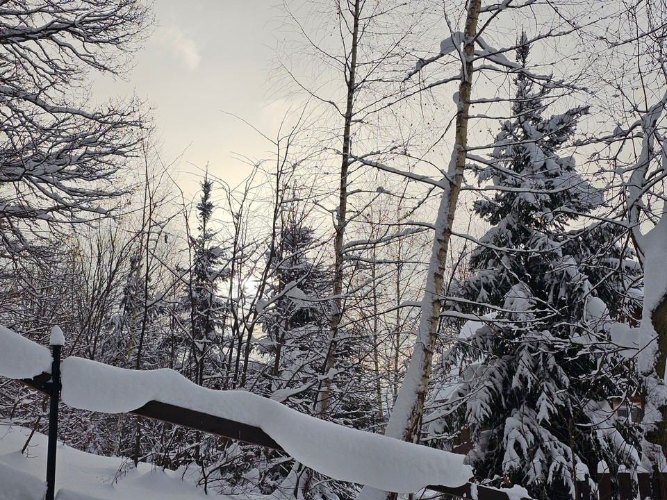 К концу января в Подмосковье потеплеет до аномальных для этого месяца значений