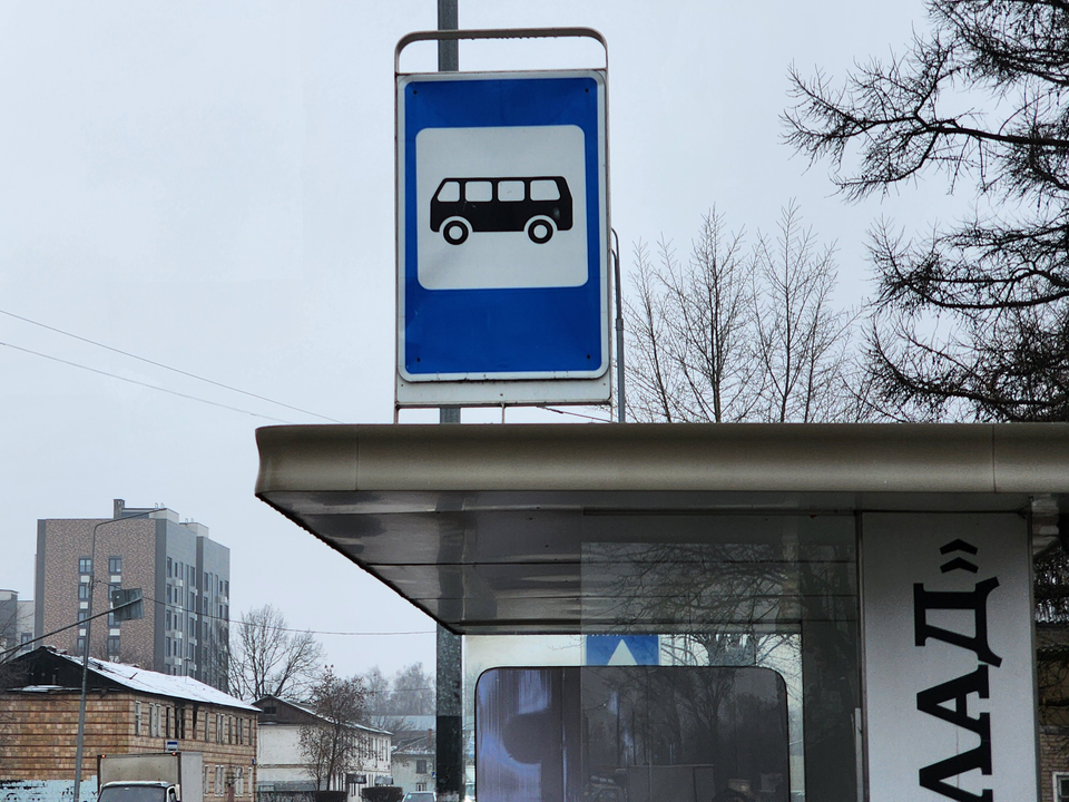 До 3 часов утра: в Подмосковье продлят движение автобусов и электричек на Рождество