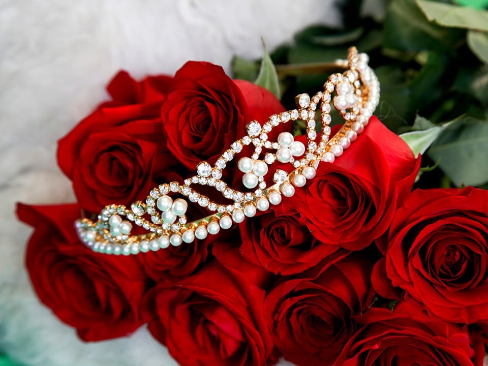 26 проектов из Московской области стали победителями конкурса Президентских грантов