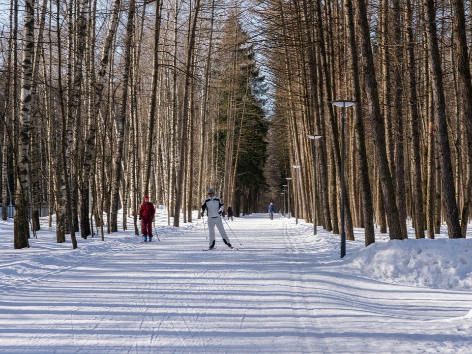 Снежный покров в Московском регионе увеличится на 5–6 см