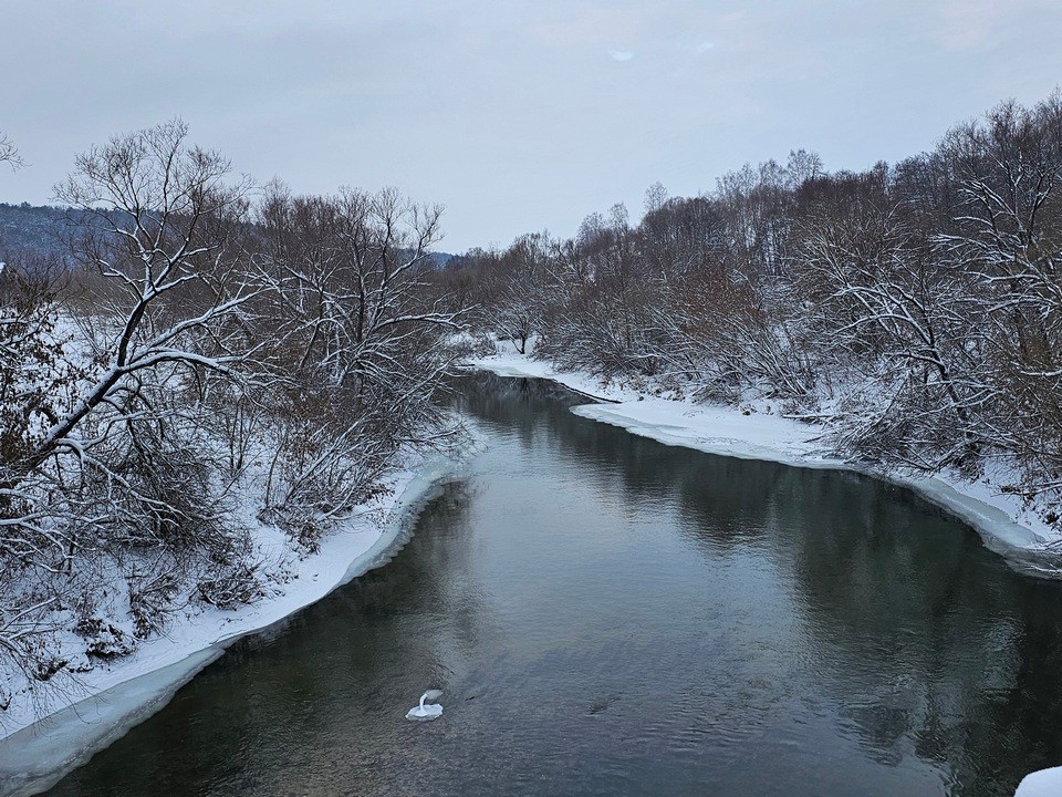 Какая погода ждет жителей Подмосковья в крещенскую ночь