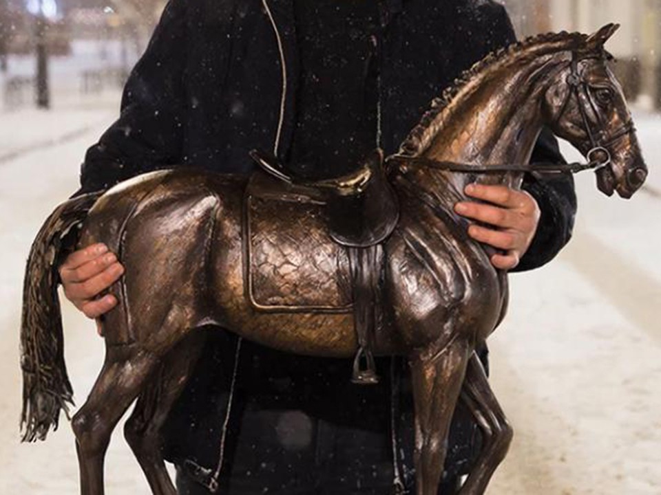 Кража лошади попала на камеру наблюдения в Ногинске — конь оказался фанерным