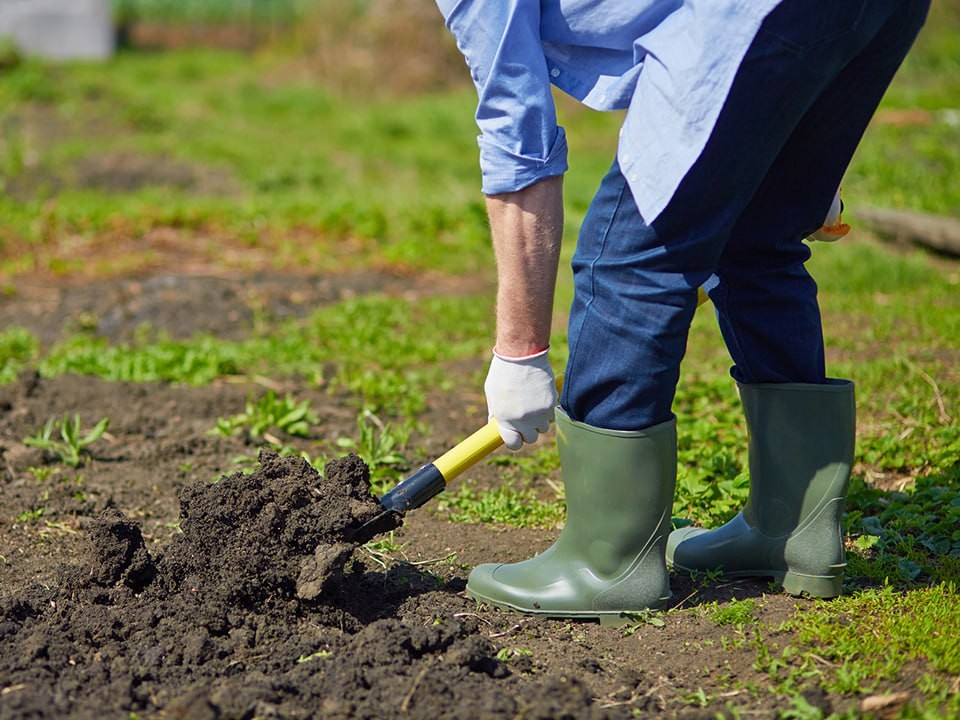 Что скрывает ваш участок? Как ткнуть в землю лопатой в Подмосковье и не попасть в объект культурного наследия