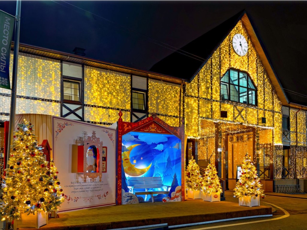 Экскурсионный поход по зимнему лесу пройдет в Одинцовском парке 5 января