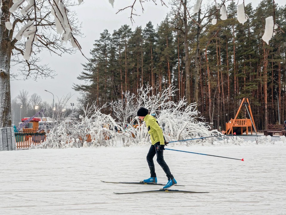 «Лыжная гонка Акентьева-2026» соберет звезд на Лазутинке