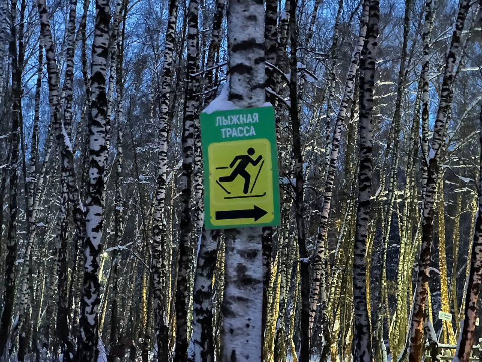 Почему парк «Городской лес» стал популярным местом для зимнего отдыха