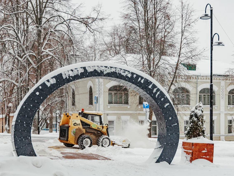 Экстремальный «Френсис»: как Кашира выстояла в снежном апокалипсисе