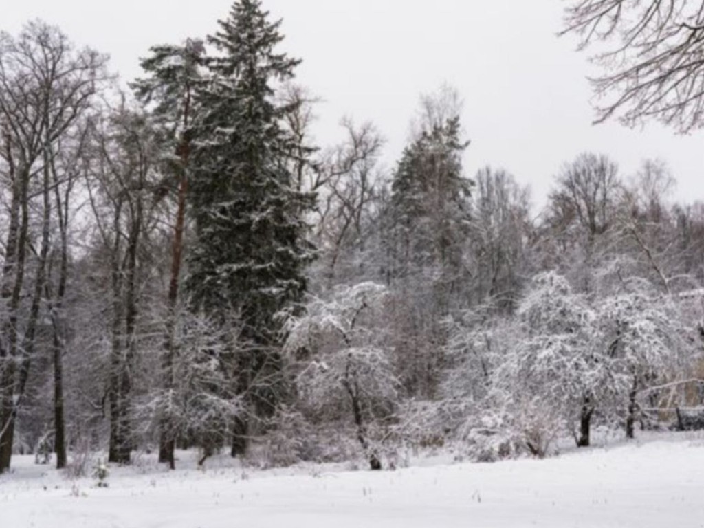 Морозы до -26? В выходные в Москве и Подмосковье будет очень холодно