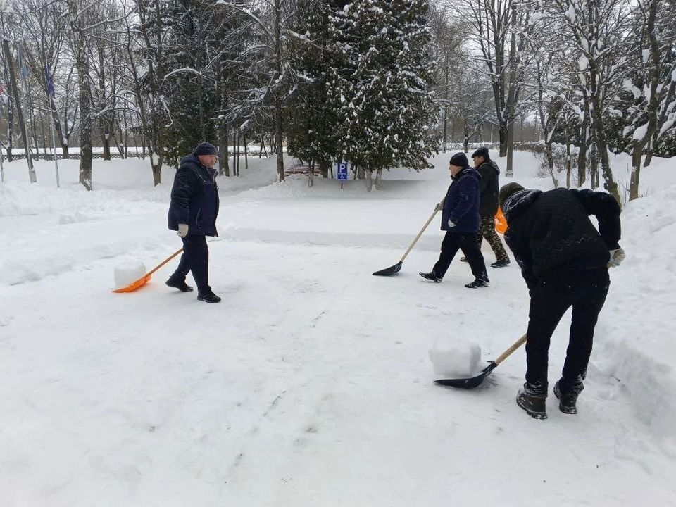 Студенты колледжа «Московия» вступили в битву со снегом и победили
