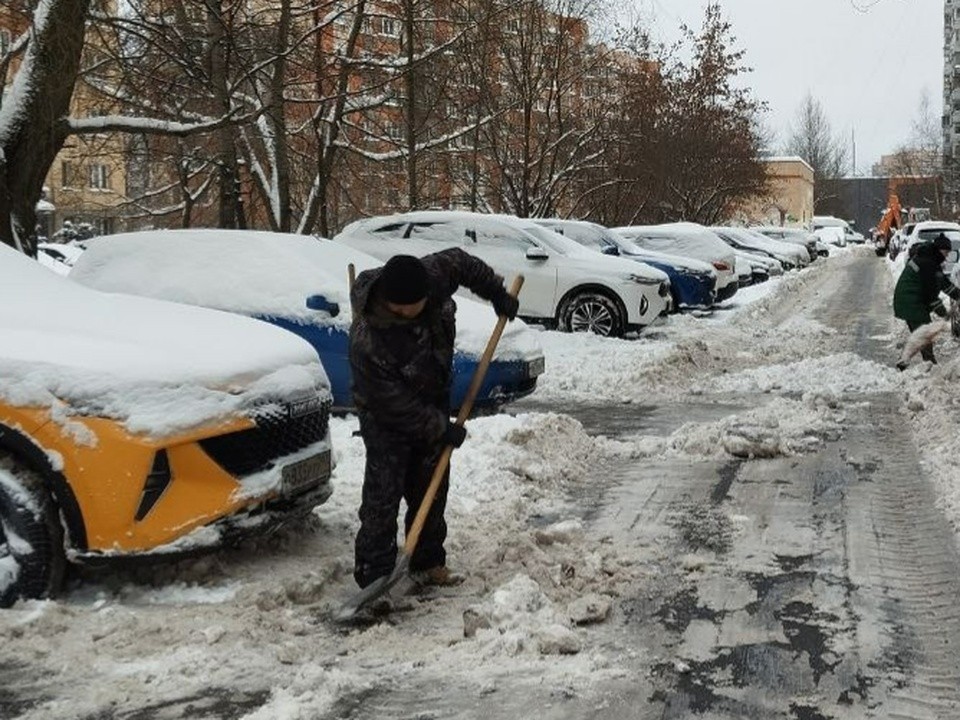 В Химках студенты помогли диспансеру почистить дороги