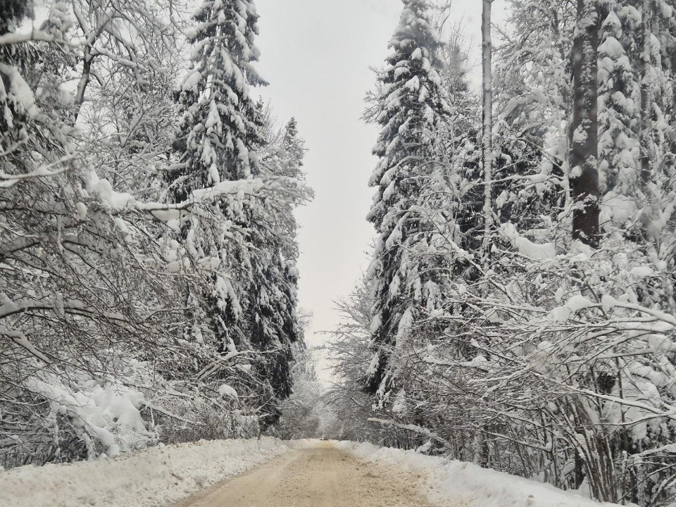 Грейдеры пробивают дороги к заснеженным селам и деревням вблизи Пушкино