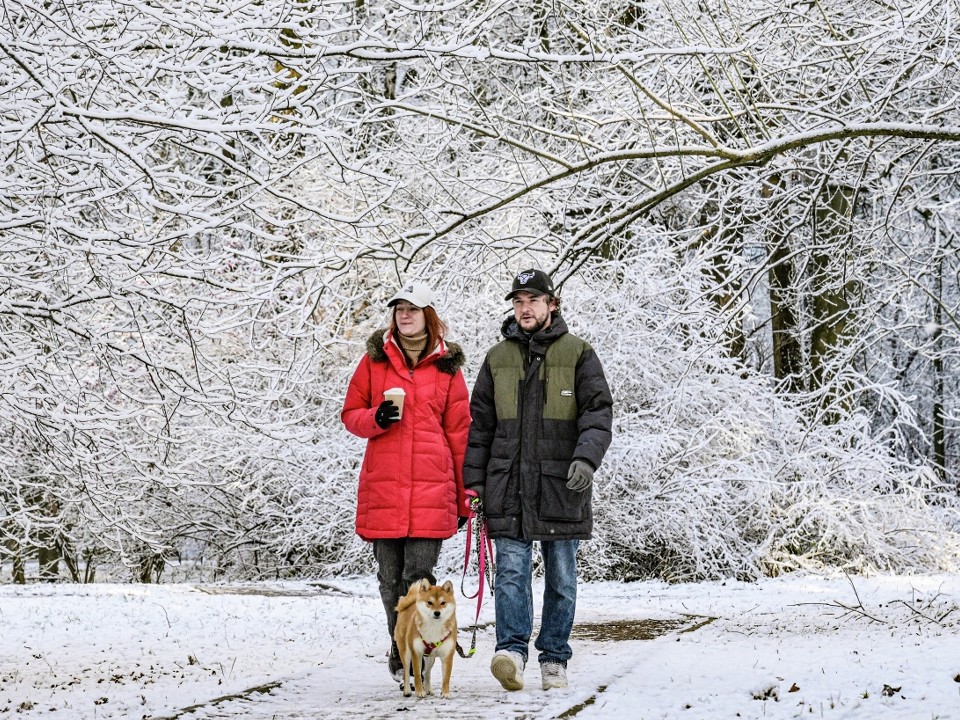 Февраль готовит сюрприз: как закончится зима в Подмосковье — прогноз синоптиков