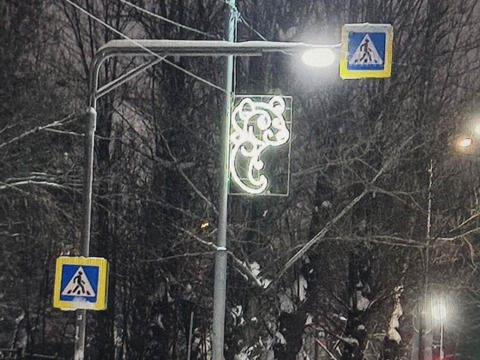 Креветка или енот? На улицах Балашихи встретили неизвестного науке зверя