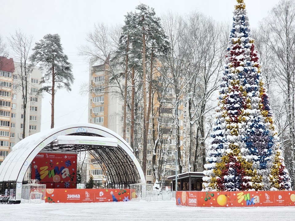 Для уборки снега в Центральном парке Ногинска задействовали четыре агрегата