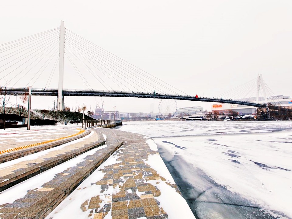 Врачи настоятельно рекомендуют жителям Подмосковья не покидать дома в выходные дни из-за морозов