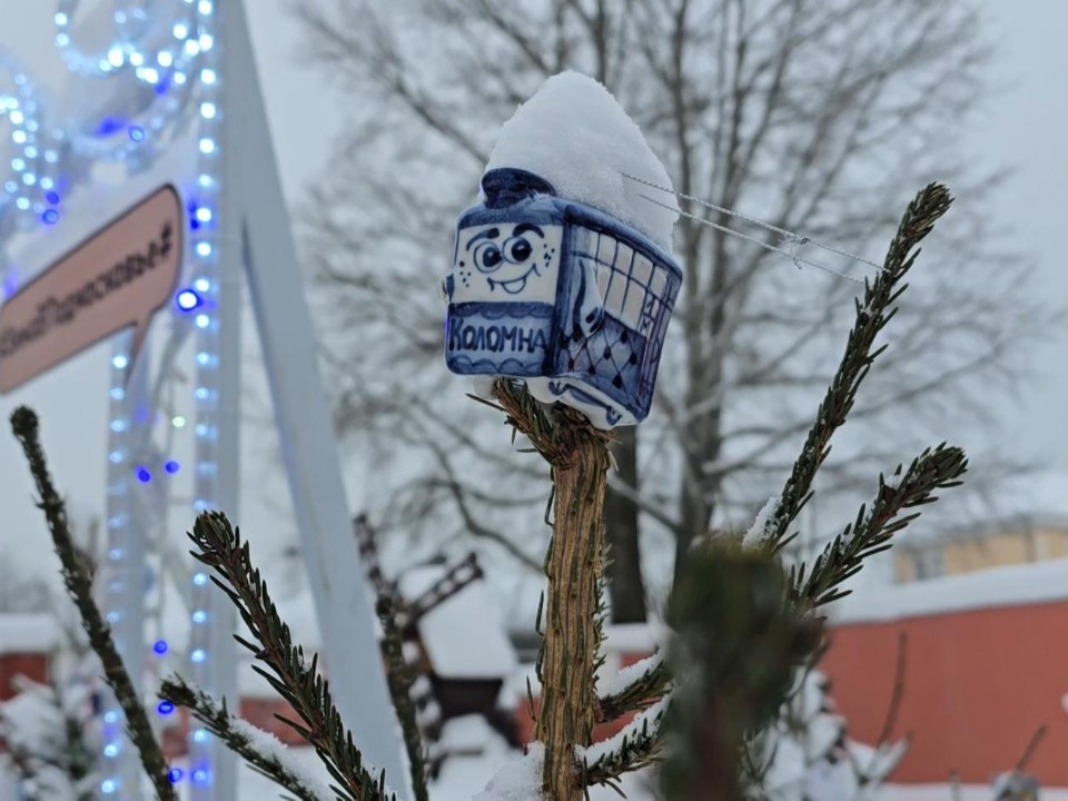 Самые красивые елки Нового года выбрали в Коломне