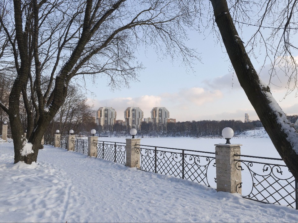 С высоким давлением и без осадков: какой будет погода в Подмосковье в выходные