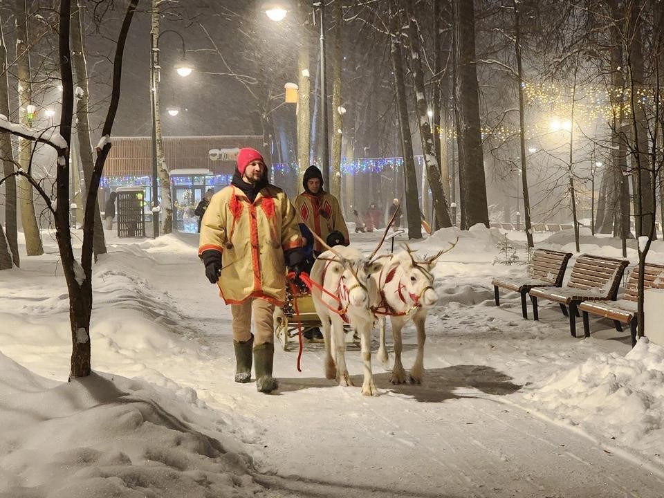 Северные олени Яша и Гек прокатили Деда Мороза и посетителей парка Киово