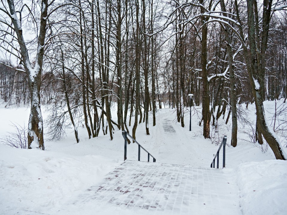 Погода в Подмосковье 25 января: что ждет жителей Подмосковья в воскресенье