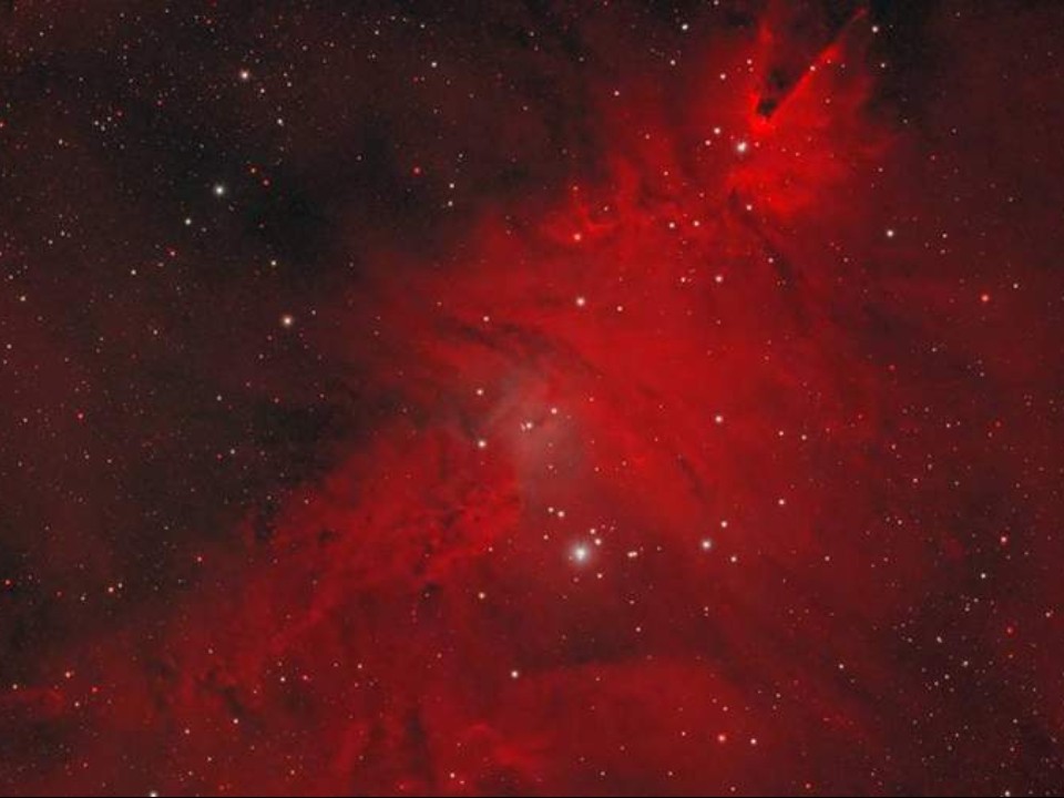 Гирлянды из звезд и туманностей: как выглядит настоящая «Рождественская елка» в глубинах космоса