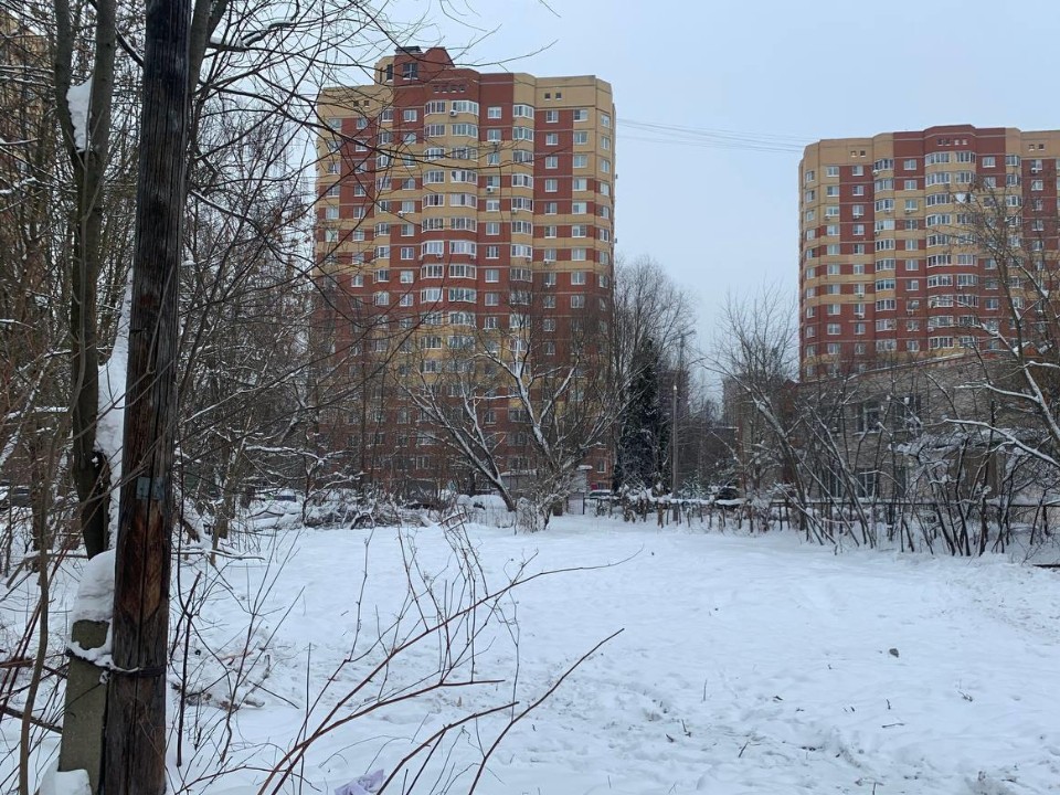 Земля расчищена, планы — впереди: в Пушкино определится судьба территории после сноса дома