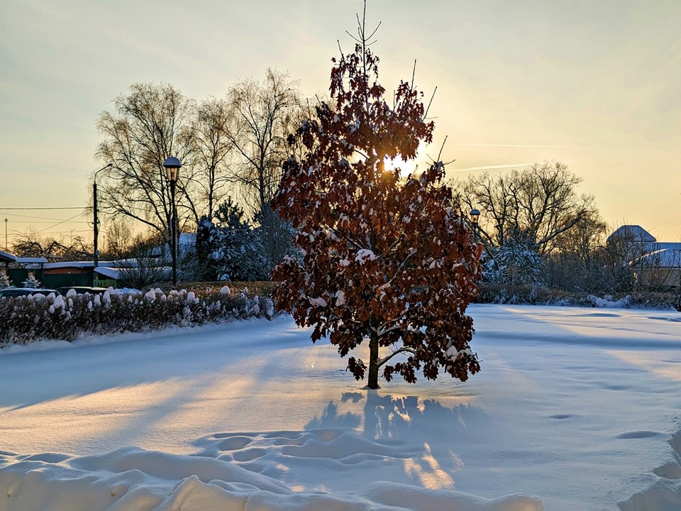 Погода на Крещение в Подмосковье: прогноз синоптиков
