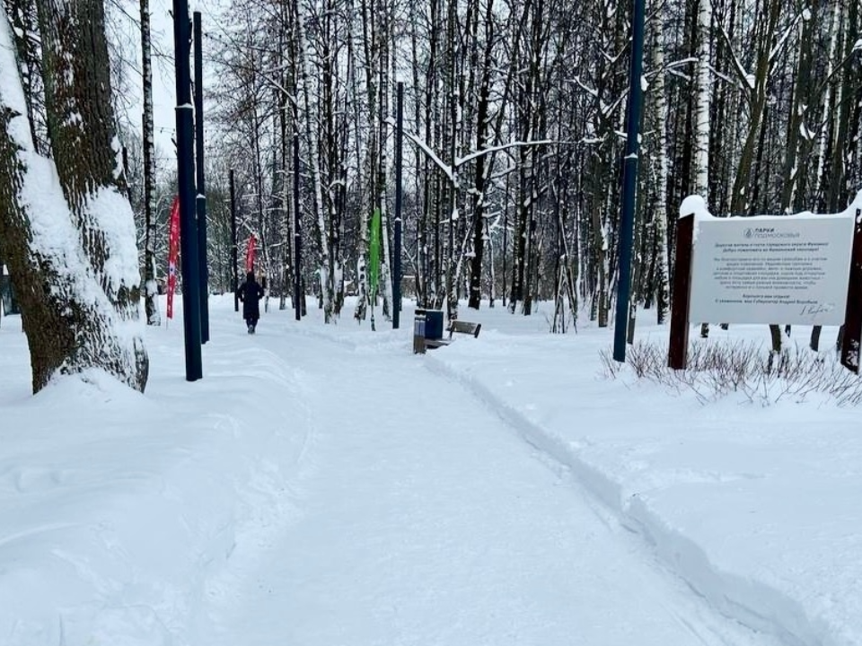 Во Фрязинском лесопарке усилили уборку снега после обильных осадков