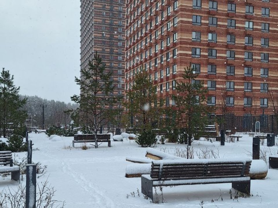 Новая неделя принесет в Подмосковье снегопады и усиление морозов