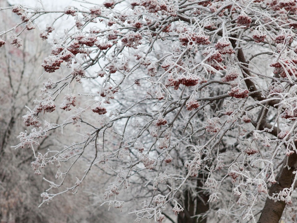 Антициклон набирает силу: прошедшая ночь стала самой холодной за две недели