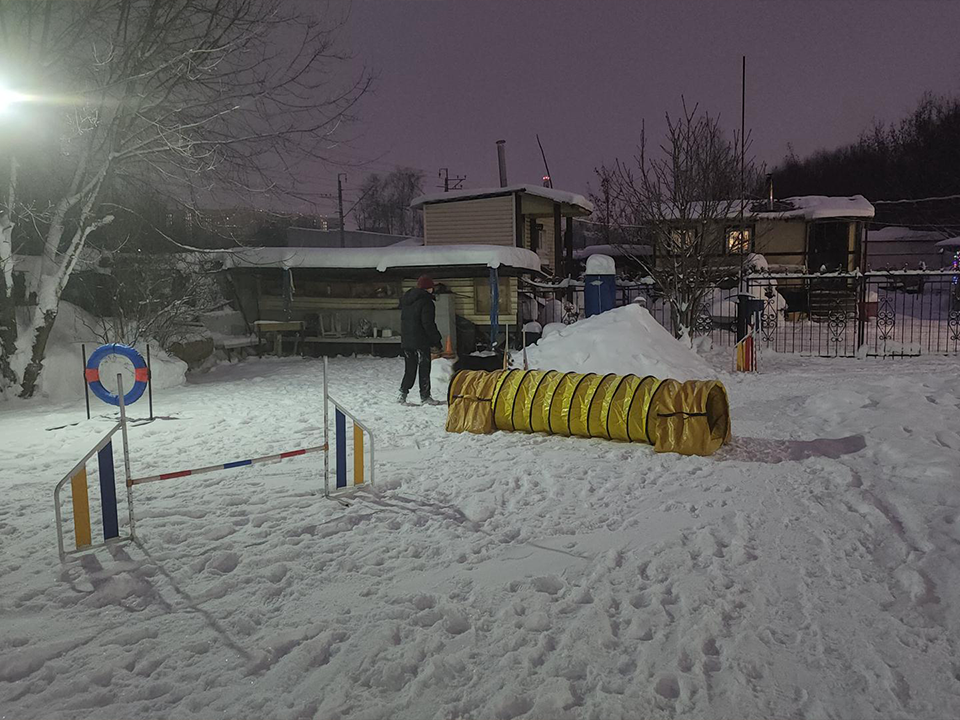 Стало известно, кому кинологи «X Легиона» помогут на благотворительном фестивале