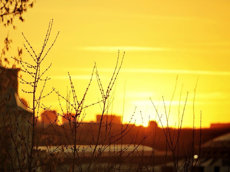 Зима отступает раньше срока? Стал известен температурный прогноз на февраль и март