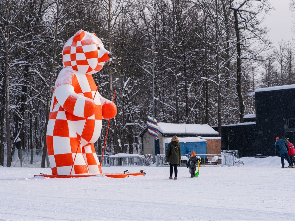 Одинцовский парк запретил катание на тюбингах и ледянках из-за рисков травм