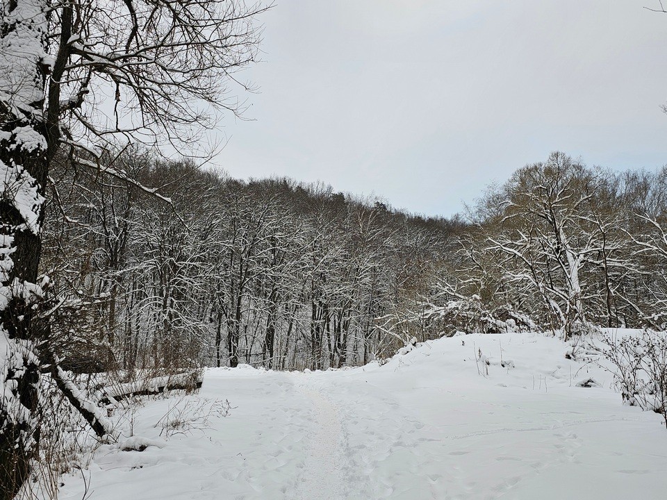 В Подмосковье придут крещенские морозы, столбик термометра уйдет за 20 градусов ниже нуля