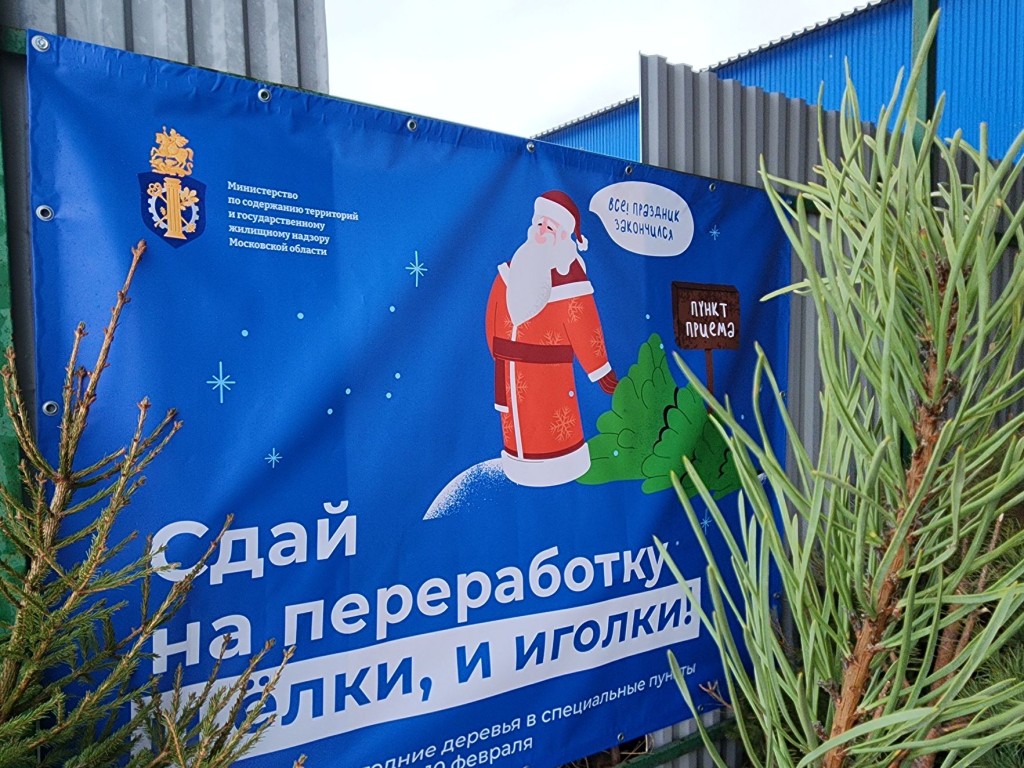 Собранные в Лосино-Петровском елки станут кормом и подстилкой для животных