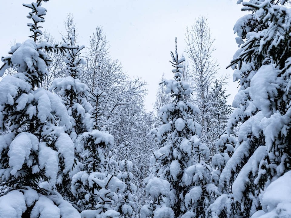 Разморозка наступит! Но ненадолго: поступил прогноз от синоптика Тишковца на неделю