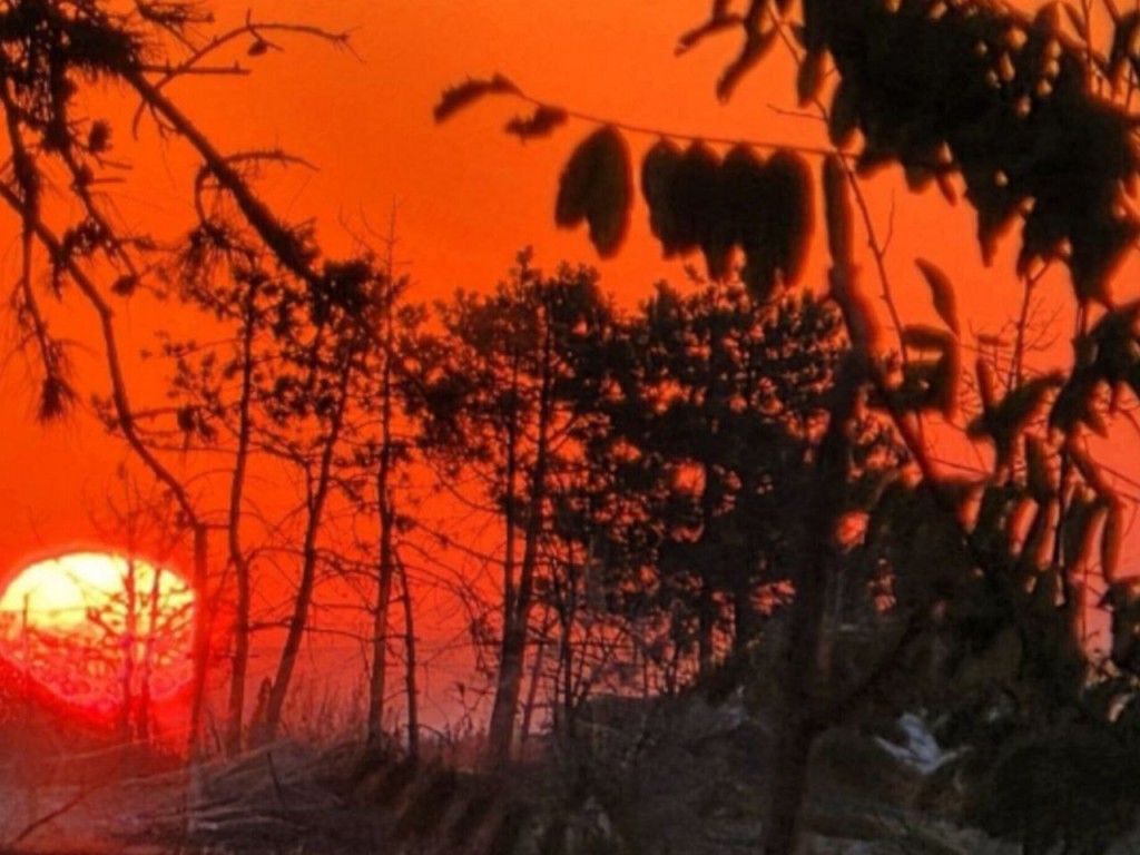 Тайна Ивана Бражника: какой ритуал 20 января защитит от нищеты и порчи?