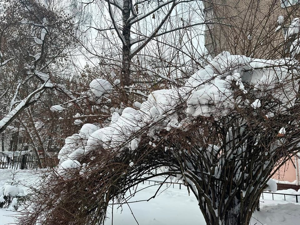 Морозы до −27°C накроют Москву и Подмосковье: Вильфанд предупредил о погодном ударе в выходные